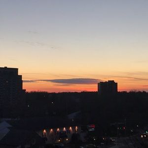 Meet your Posher, Tatum